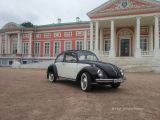    VW Beetle  